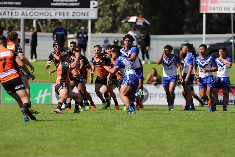 SG Ball Cup Eliminations Final BULLDOGS v TIGERS