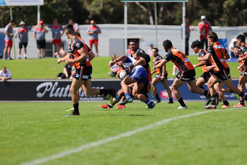 SG Ball Cup Eliminations Final BULLDOGS v TIGERS