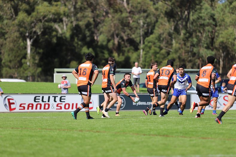 SG Ball Cup Eliminations Final BULLDOGS v TIGERS