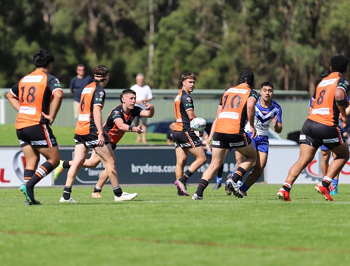 SG Ball Cup Eliminations Final BULLDOGS v TIGERS