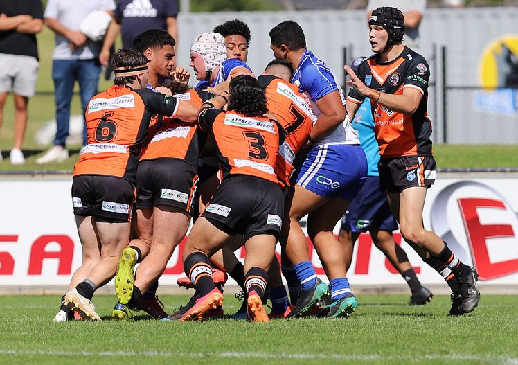 SG Ball Cup Eliminations Final BULLDOGS v TIGERS
