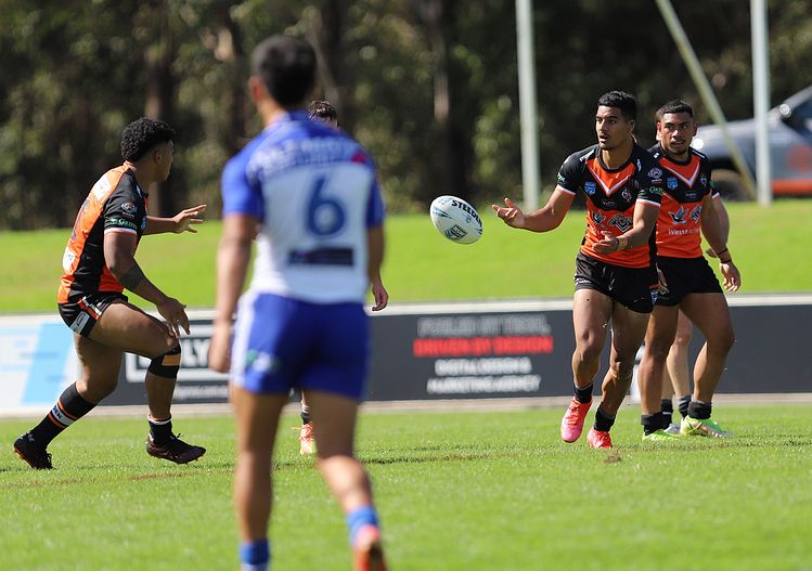 SG Ball Cup Eliminations Final BULLDOGS v TIGERS