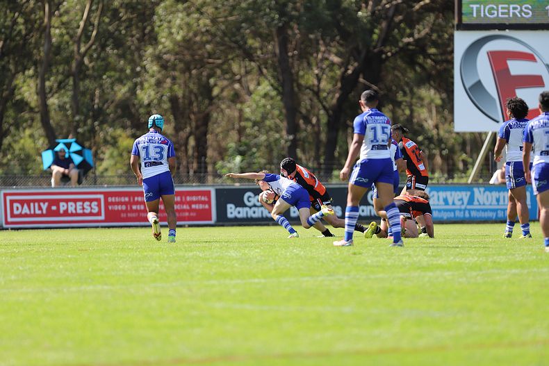 SG Ball Cup Eliminations Final BULLDOGS v TIGERS