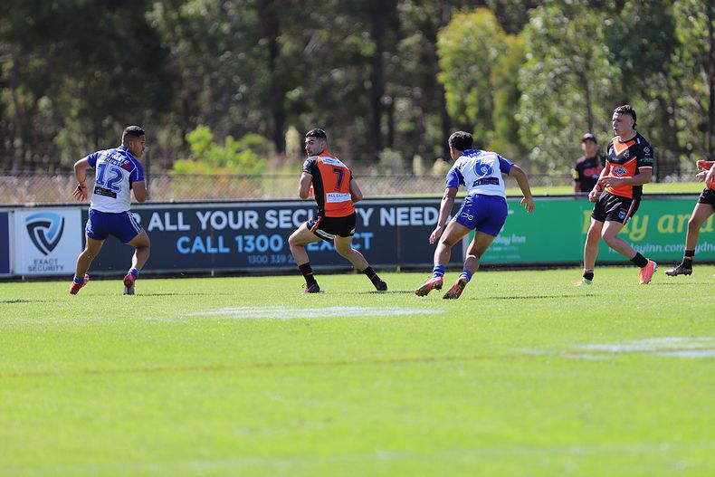 SG Ball Cup Eliminations Final BULLDOGS v TIGERS