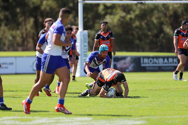 SG Ball Cup Eliminations Final BULLDOGS v TIGERS