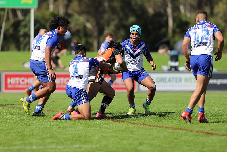 SG Ball Cup Eliminations Final BULLDOGS v TIGERS