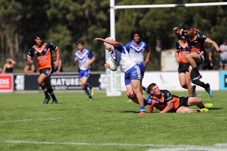 SG Ball Cup Eliminations Final BULLDOGS v TIGERS