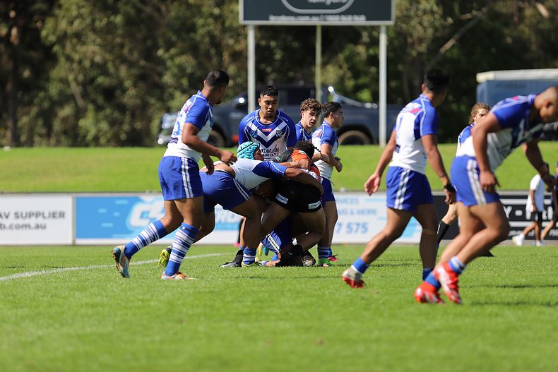 SG Ball Cup Eliminations Final BULLDOGS v TIGERS