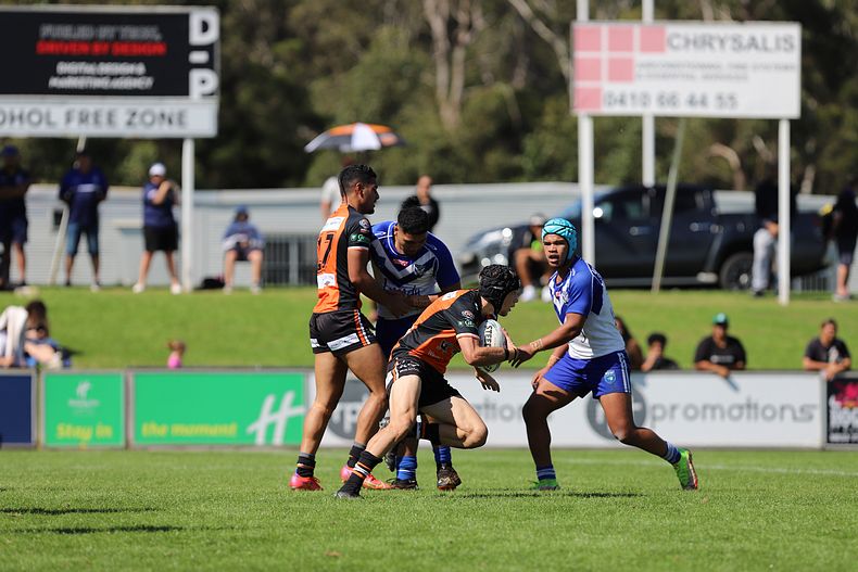 SG Ball Cup Eliminations Final BULLDOGS v TIGERS