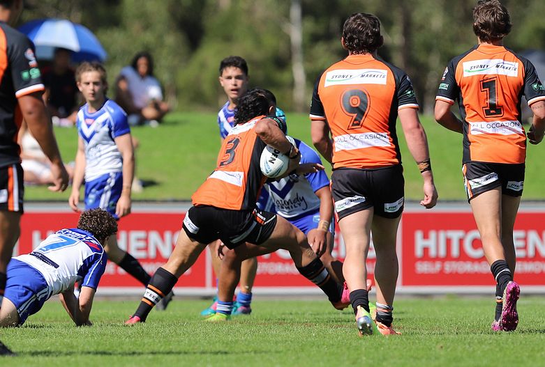 SG Ball Cup Eliminations Final BULLDOGS v TIGERS