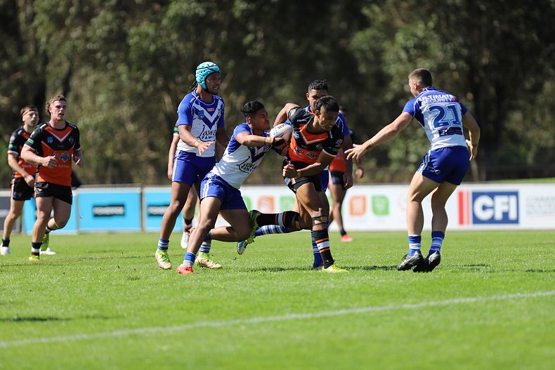 SG Ball Cup Eliminations Final BULLDOGS v TIGERS