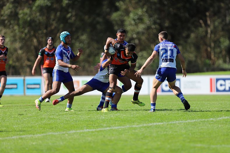 SG Ball Cup Eliminations Final BULLDOGS v TIGERS