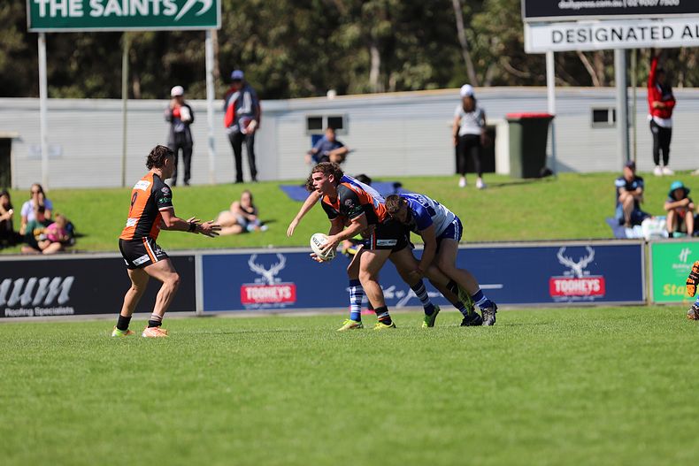 SG Ball Cup Eliminations Final BULLDOGS v TIGERS