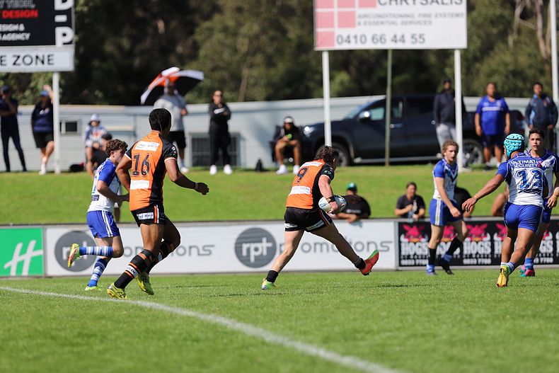 SG Ball Cup Eliminations Final BULLDOGS v TIGERS