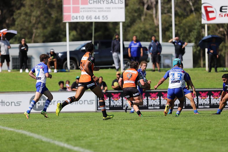 SG Ball Cup Eliminations Final BULLDOGS v TIGERS