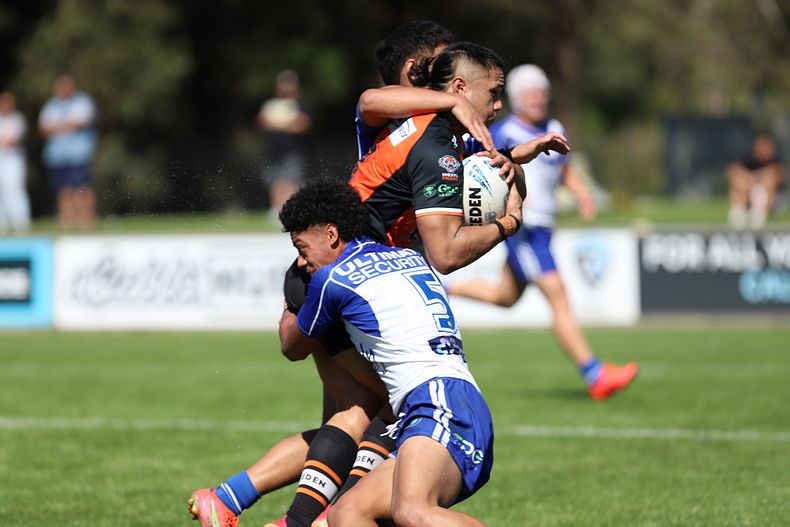 SG Ball Cup Eliminations Final BULLDOGS v TIGERS