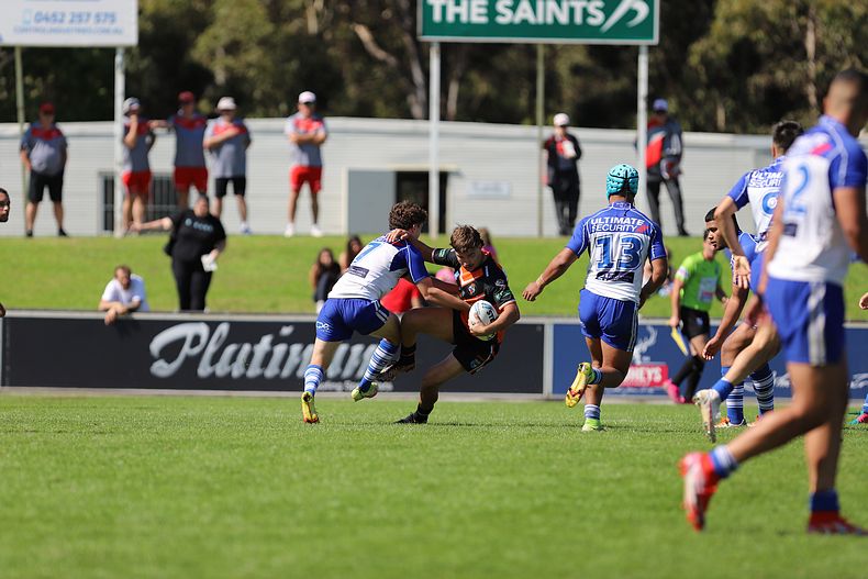 SG Ball Cup Eliminations Final BULLDOGS v TIGERS