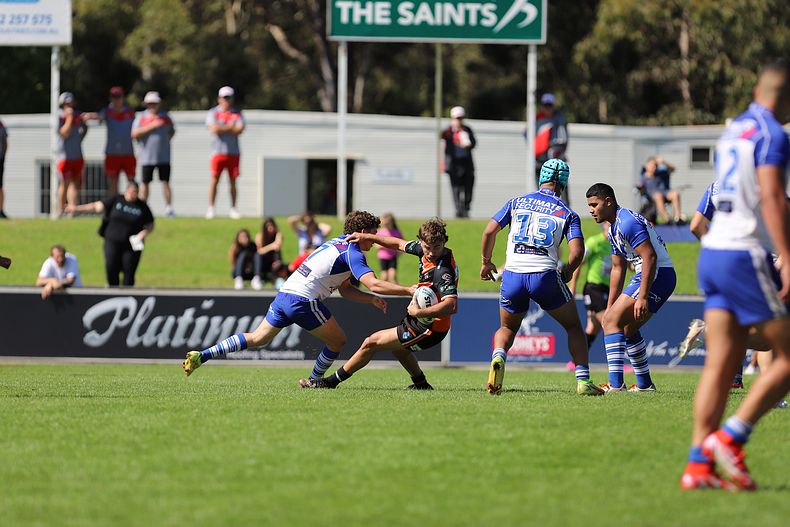 SG Ball Cup Eliminations Final BULLDOGS v TIGERS