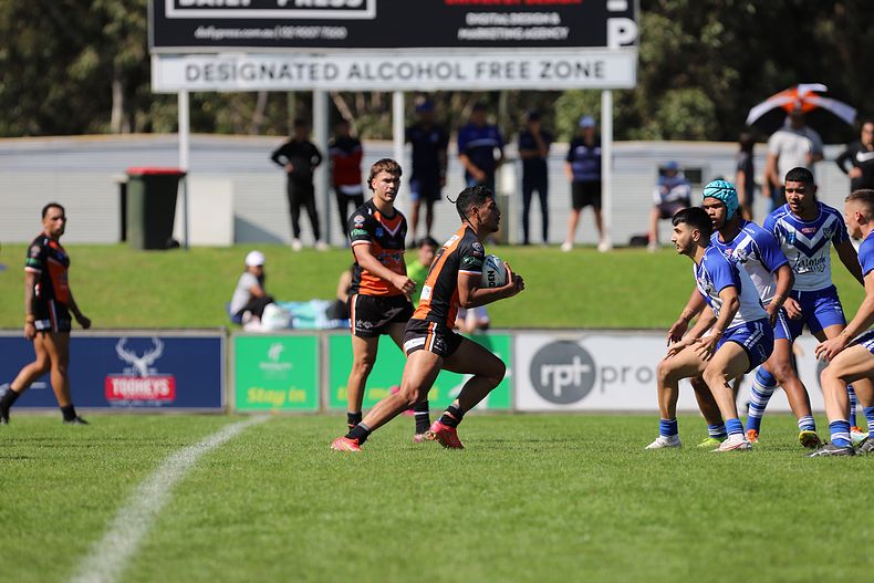 SG Ball Cup Eliminations Final BULLDOGS v TIGERS
