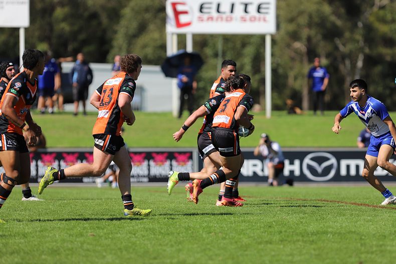 SG Ball Cup Eliminations Final BULLDOGS v TIGERS