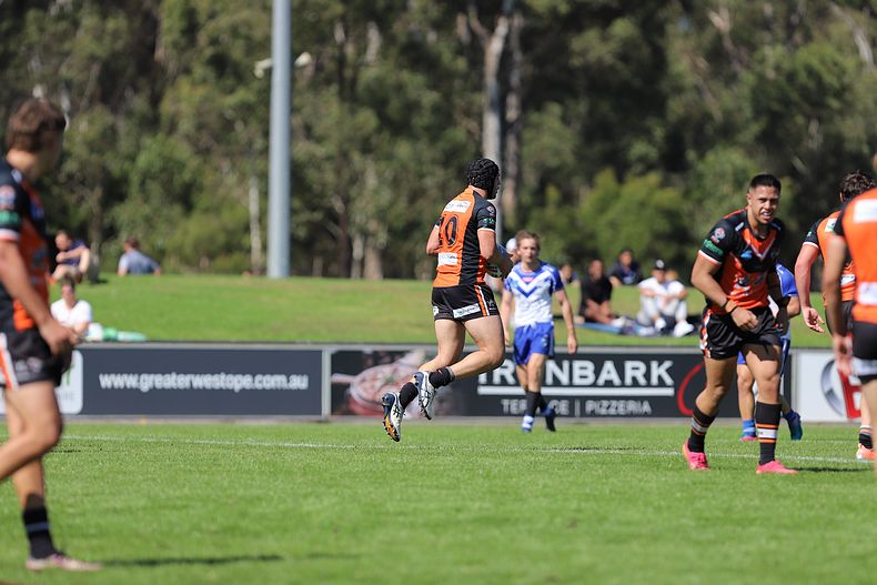 SG Ball Cup Eliminations Final BULLDOGS v TIGERS