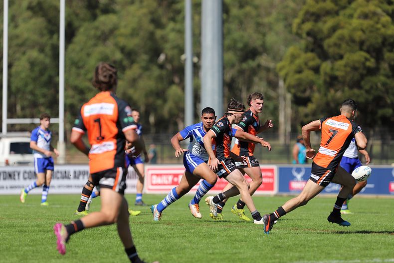 SG Ball Cup Eliminations Final BULLDOGS v TIGERS