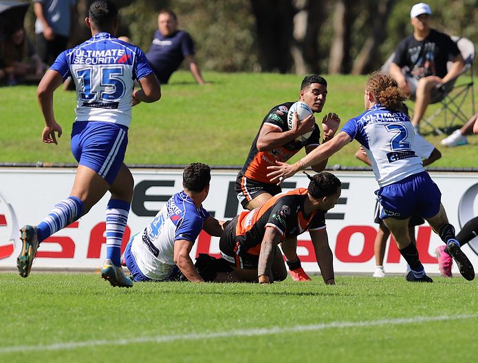 SG Ball Cup Eliminations Final BULLDOGS v TIGERS