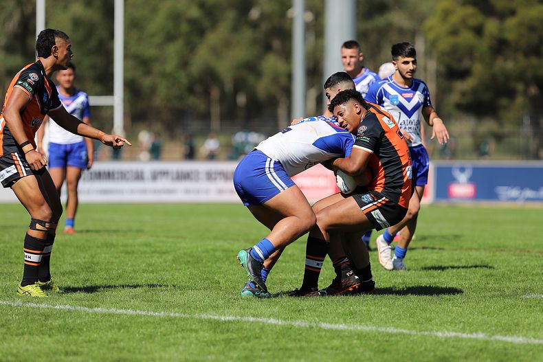 SG Ball Cup Eliminations Final BULLDOGS v TIGERS