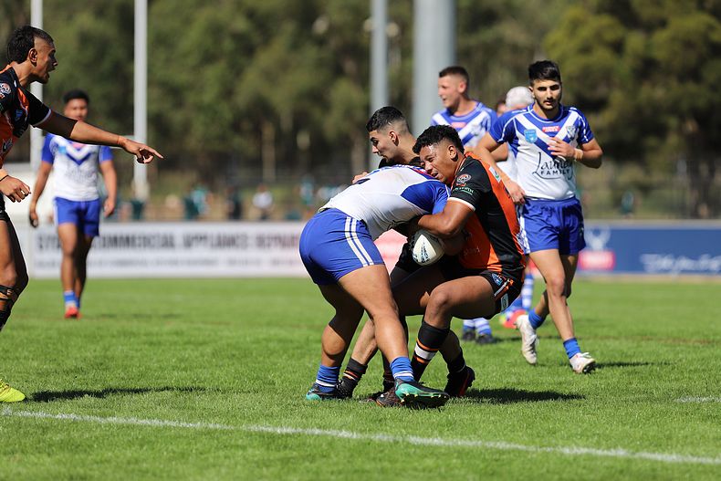 SG Ball Cup Eliminations Final BULLDOGS v TIGERS