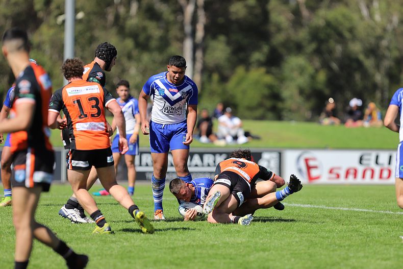 SG Ball Cup Eliminations Final BULLDOGS v TIGERS