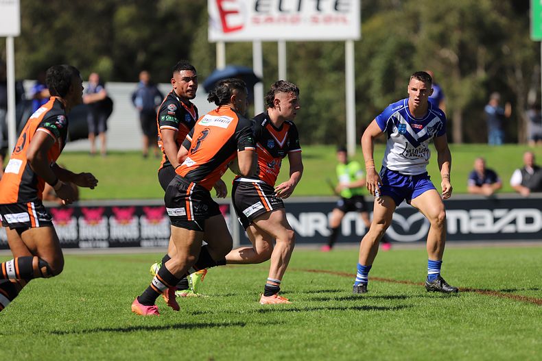 SG Ball Cup Eliminations Final BULLDOGS v TIGERS