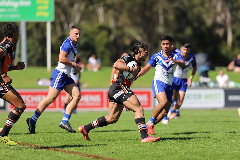 SG Ball Cup Eliminations Final BULLDOGS v TIGERS