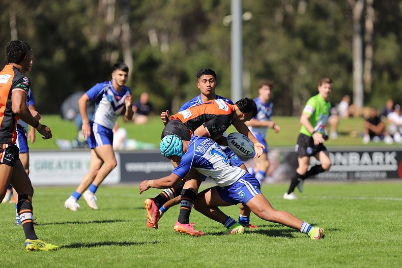 SG Ball Cup Eliminations Final BULLDOGS v TIGERS
