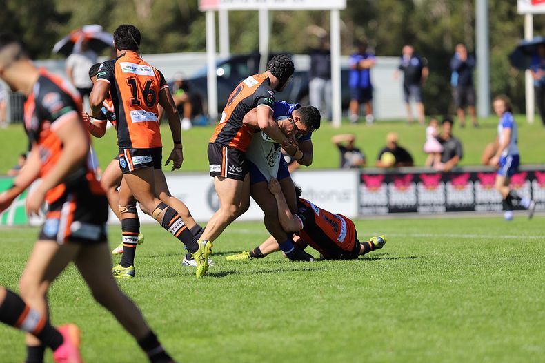SG Ball Cup Eliminations Final BULLDOGS v TIGERS