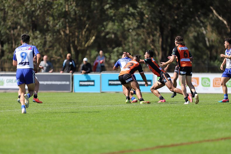 SG Ball Cup Eliminations Final BULLDOGS v TIGERS