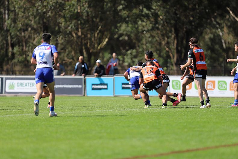 SG Ball Cup Eliminations Final BULLDOGS v TIGERS
