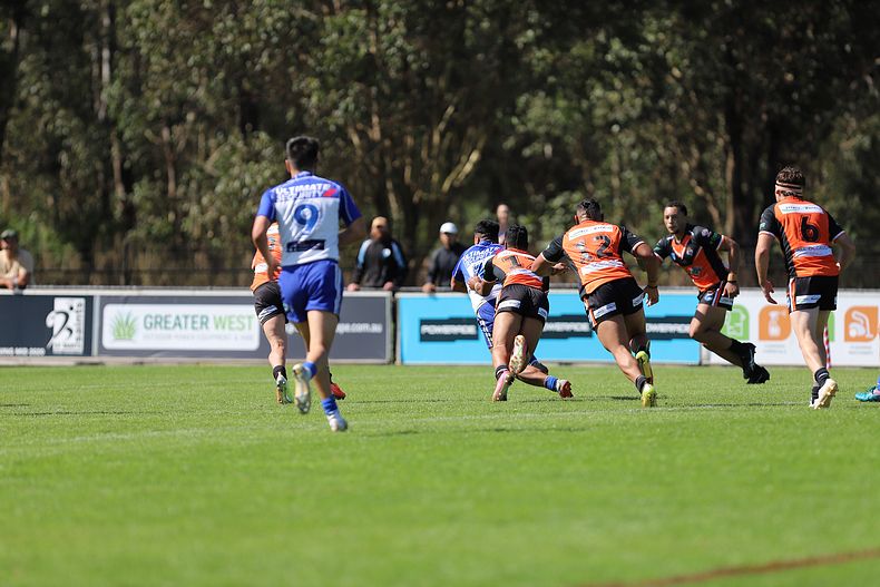 SG Ball Cup Eliminations Final BULLDOGS v TIGERS