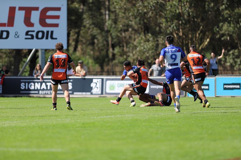 SG Ball Cup Eliminations Final BULLDOGS v TIGERS