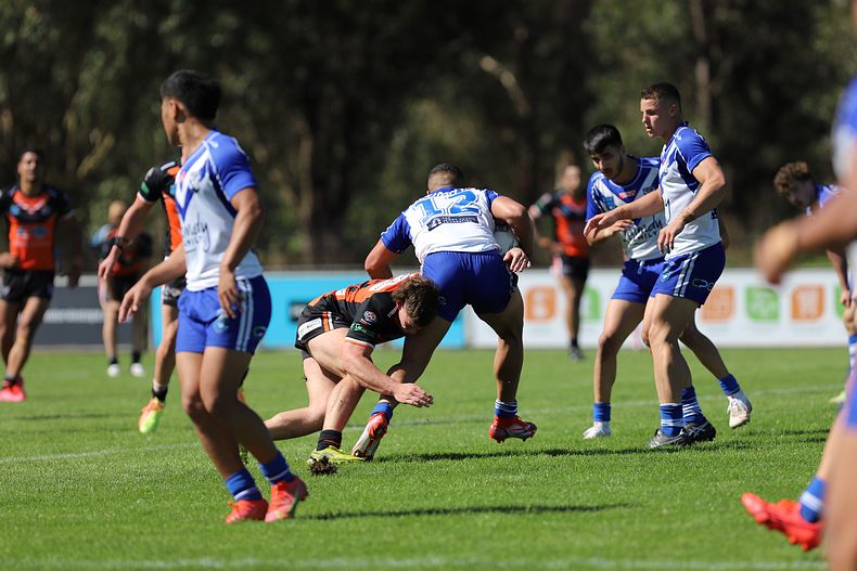 SG Ball Cup Eliminations Final BULLDOGS v TIGERS