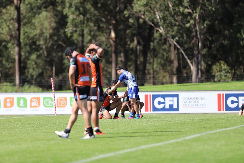 SG Ball Cup Eliminations Final BULLDOGS v TIGERS