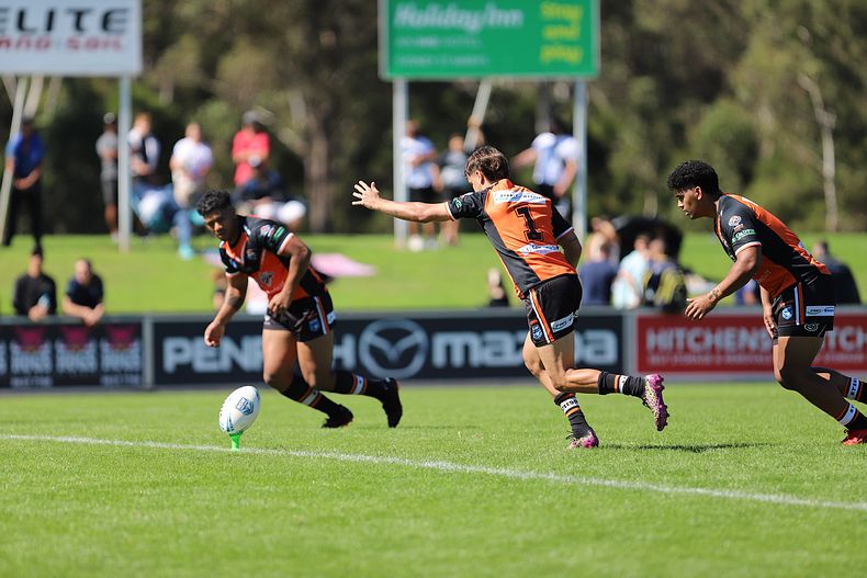 SG Ball Cup Eliminations Final BULLDOGS v TIGERS