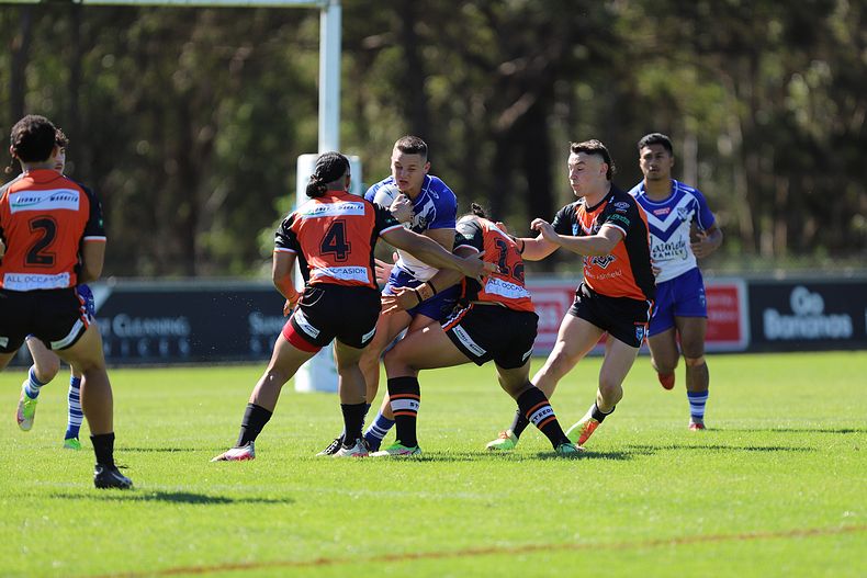 SG Ball Cup Eliminations Final BULLDOGS v TIGERS