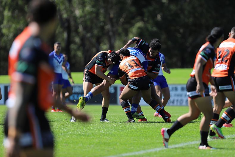 SG Ball Cup Eliminations Final BULLDOGS v TIGERS