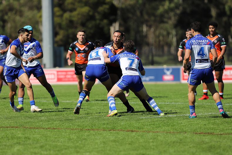 SG Ball Cup Eliminations Final BULLDOGS v TIGERS