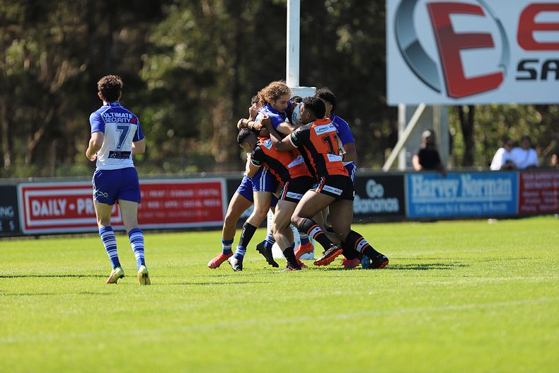 SG Ball Cup Eliminations Final BULLDOGS v TIGERS