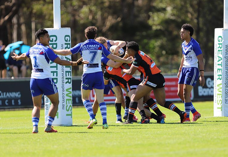 SG Ball Cup Eliminations Final BULLDOGS v TIGERS