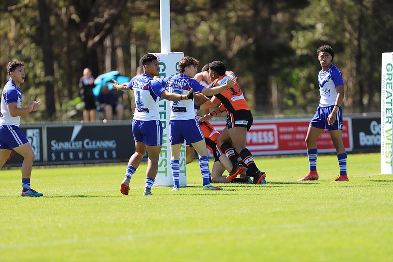 SG Ball Cup Eliminations Final BULLDOGS v TIGERS