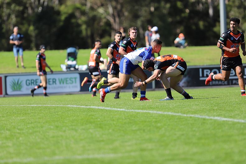 SG Ball Cup Eliminations Final BULLDOGS v TIGERS