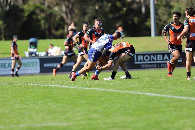 SG Ball Cup Eliminations Final BULLDOGS v TIGERS