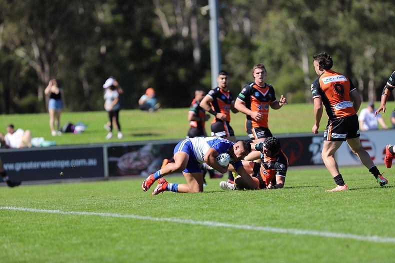 SG Ball Cup Eliminations Final BULLDOGS v TIGERS